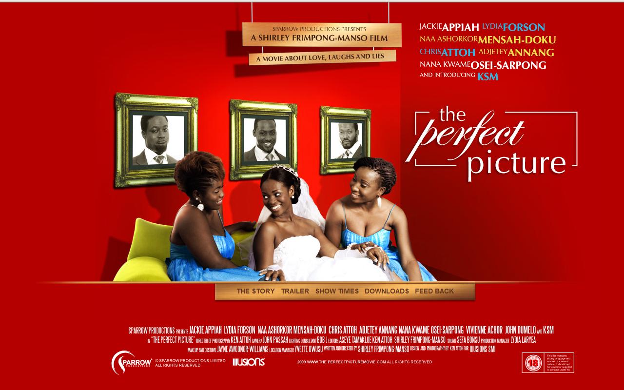 The Perfect Picture (Movie Review)
