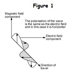 What are the differences between horizontally polarized and vertically  polarized signals? - TECH dot AFRICA