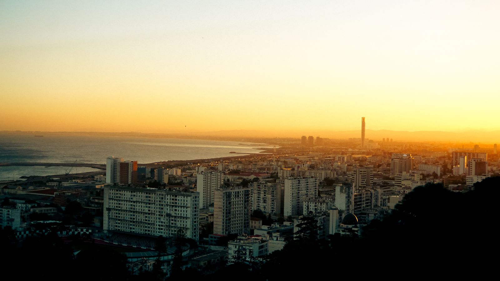 Flat6Labs and IFC back Algeria's startup incubators 1 Flat6Labs and IFC back Algeria’s startup incubators