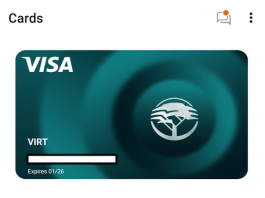 FNB Virtual Card