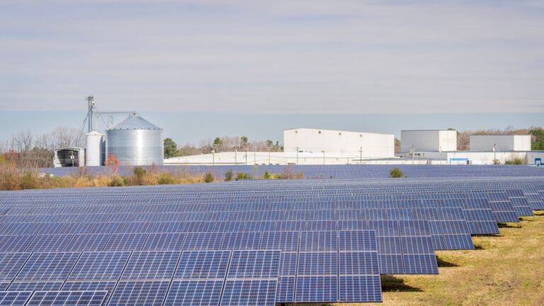 A large solar panel field beside industrial buildings