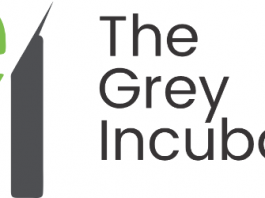 the grey incubator