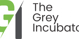the grey incubator